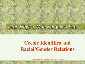 Creole Identities and Racial Relations in Jean Rhys's Wide