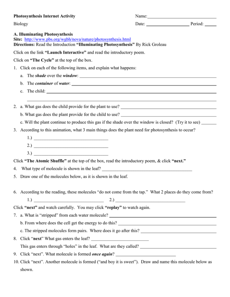 photosynthesis-internet-lesson