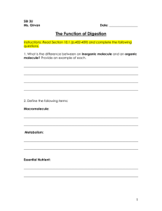 Function of Digestion