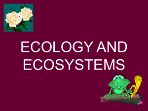 ecology and ecosystems