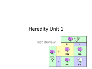 Heredity Unit 1 Test Review