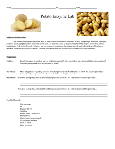Potato Enzyme Lab: Temperature & Peroxidase Activity