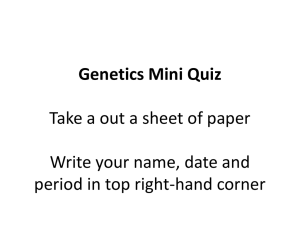 Genetics Mini Quiz: Homozygous, Heterozygous, Punnett Squares