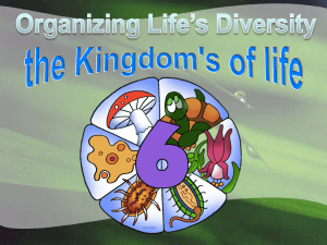 Organizing Life's Diversity the Kingdom's of life