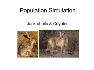 Jackrabbit & Coyote Population Simulation: Ecology Lab