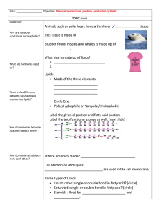Lipids: Structure, Function, and Production Worksheet