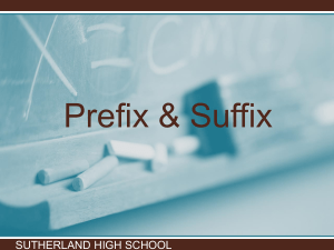 Prefixes, Suffixes, and Root Words: A High School Guide