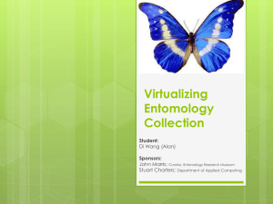 Entomology Collection Virtualizing