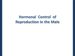 Control of Testicular Function Leydig Cells