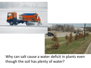 Plant Water Potential: Salt, Equilibrium, & Calculations