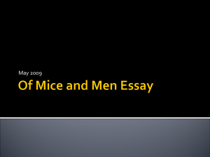 essay 2009