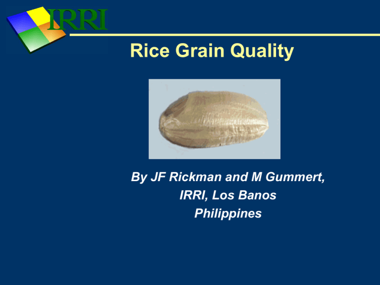 Rice Grain Quality Rice Knowledge Bank