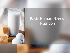 Basic Human Needs Nutrition