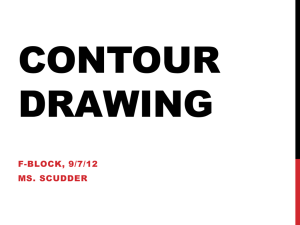 Contour Drawing