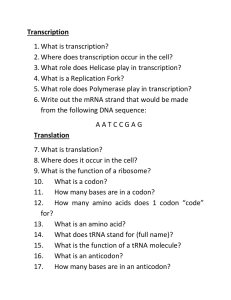 Transcription and Translation Worksheet