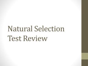 Natural Selection Test Review - High School Biology