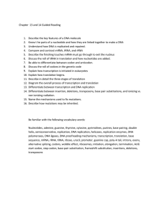 Chapter 13 and 14 Guided Reading