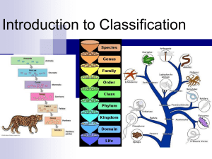 Reading classification charts