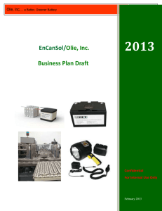 Business Plan Draft