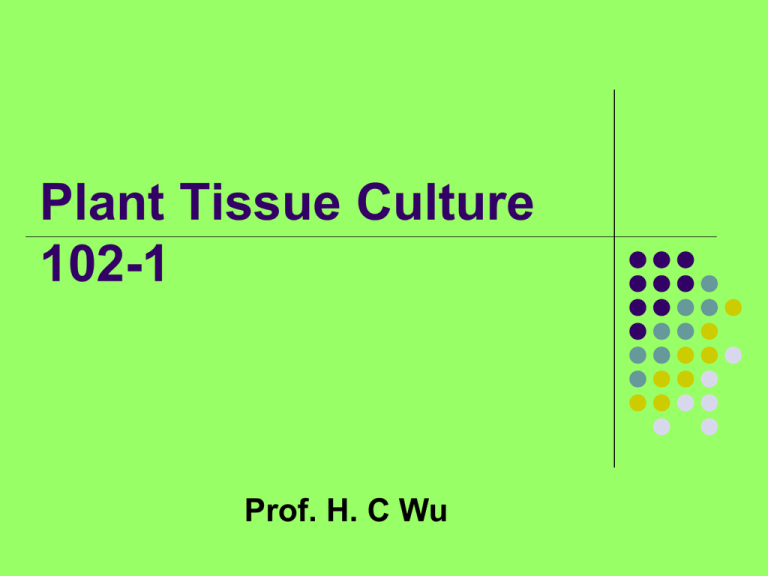 Plant Tissue Culture