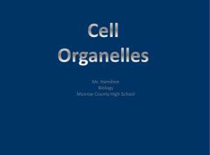 Cell Organelles - Monroe County Schools