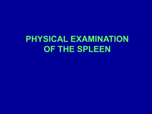 Spleen Physical Exam: Percussion, Palpation & Splenomegaly