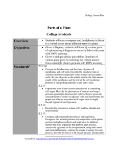 Plant Parts Lesson Plan for College Students