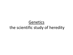 Genetics - the scientific study of heredity