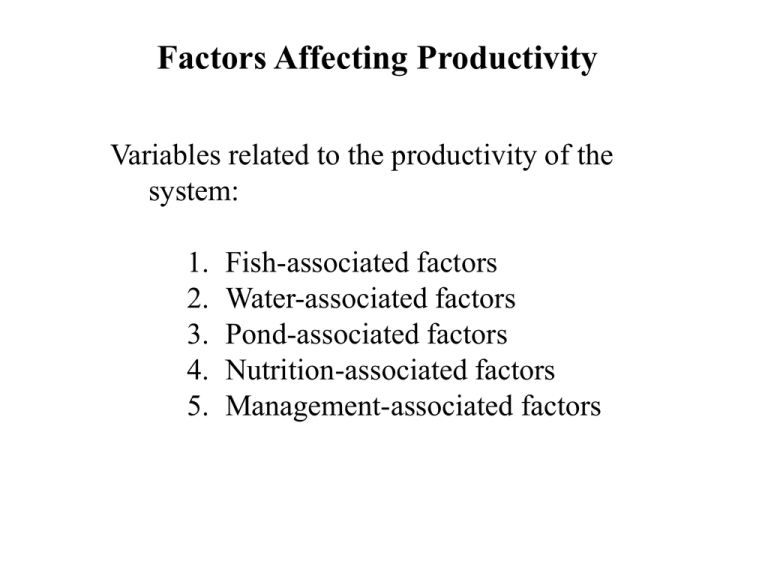 Factors Affecting Productivity