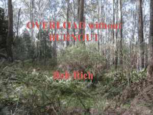 burnout - Dr Bob Rich