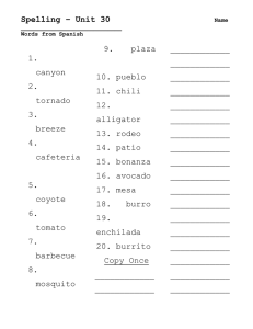 Spelling – Unit 30 Name Words from Spanish