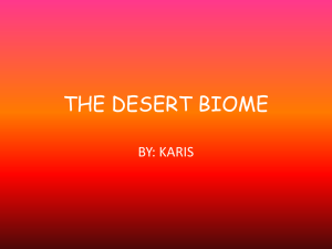 THE+DESERT+BIOME.ppt