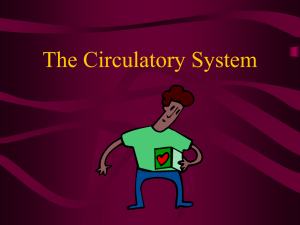 The Circulatory System - Garnet Valley School District