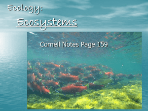 Ecology: Ecosystems