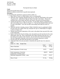 Specific Heat of Metals Lab Report: Lead & Copper