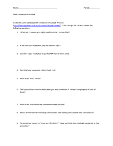 DNA Extraction Virtual Lab Worksheet