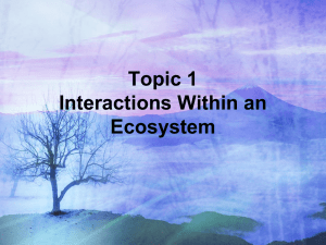 Topic 1 Interactions Within an Ecosystem(1)