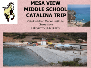 here - Mesa View Middle School