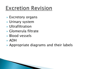 Excretion POP QUIZ!!! 8. Sketch and label this
