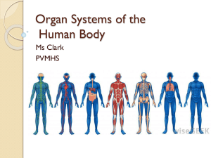 Organ Systems of the Human Body