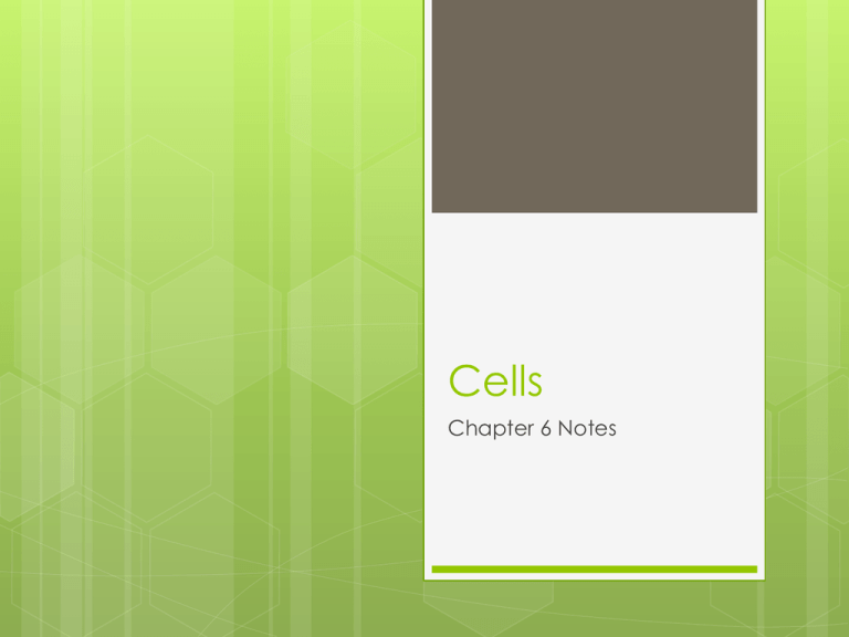 What Does The Word Cell Wall Mean In Science