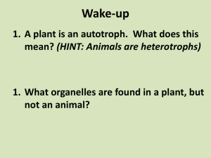 Photosynthesis I - christophersonbiology
