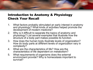 Anatomy & Physiology Worksheet: Introduction & Terminology