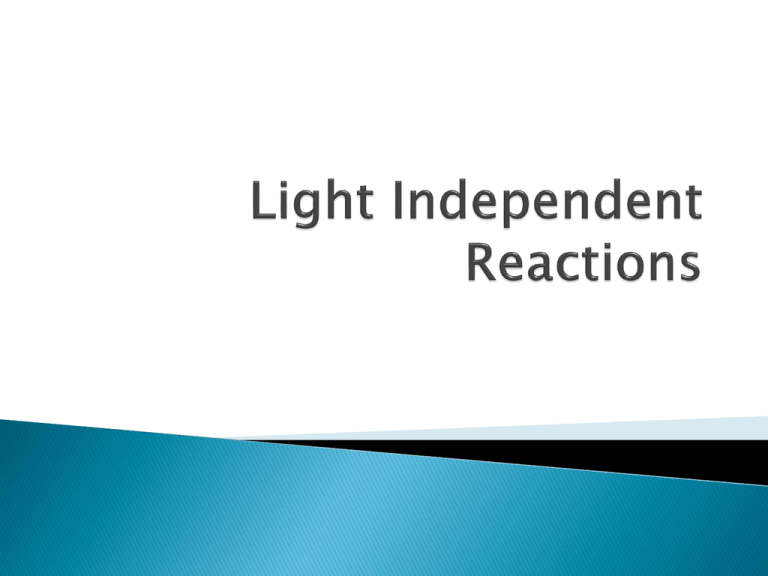 Light Independent Reactions