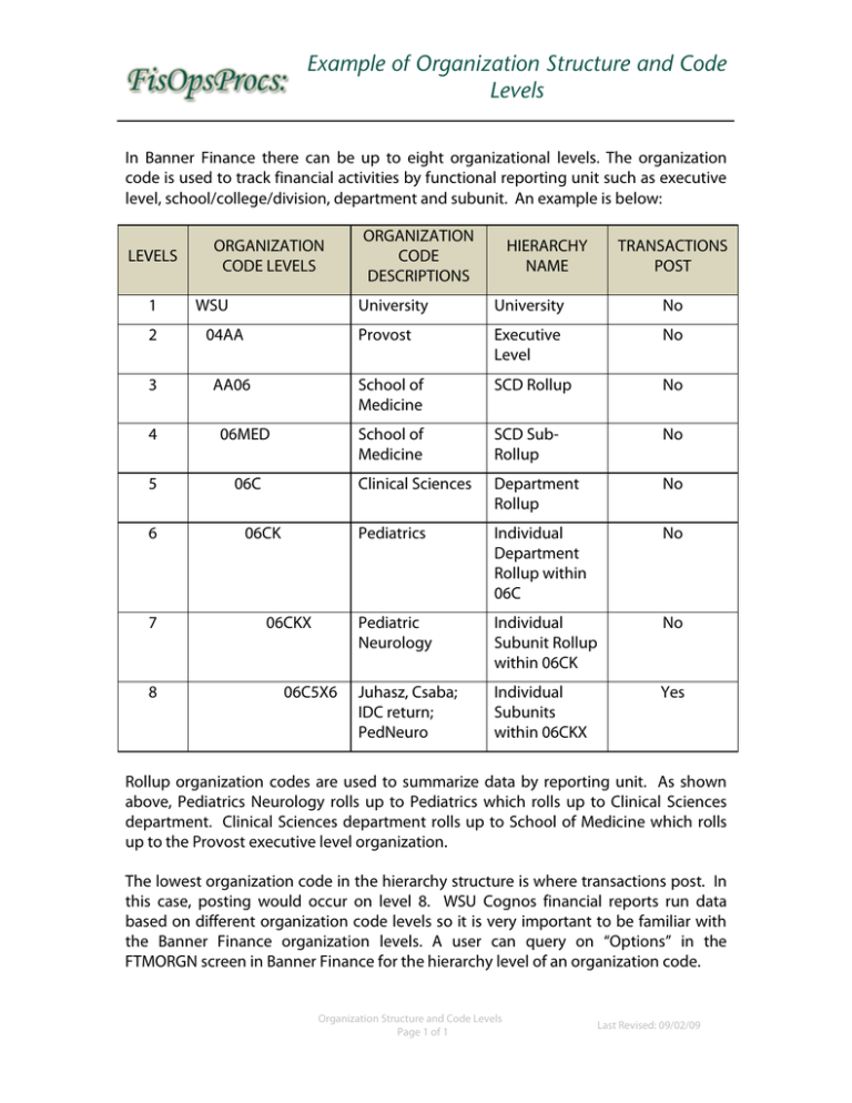 Example of Organization Structure and Code Levels