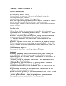 Cell Biology Exam 1 Study Guide