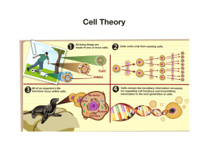 Cell Theory 1 22 44