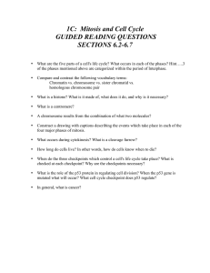 1C:  Mitosis and Cell Cycle GUIDED READING QUESTIONS SECTIONS 6.2-6.7