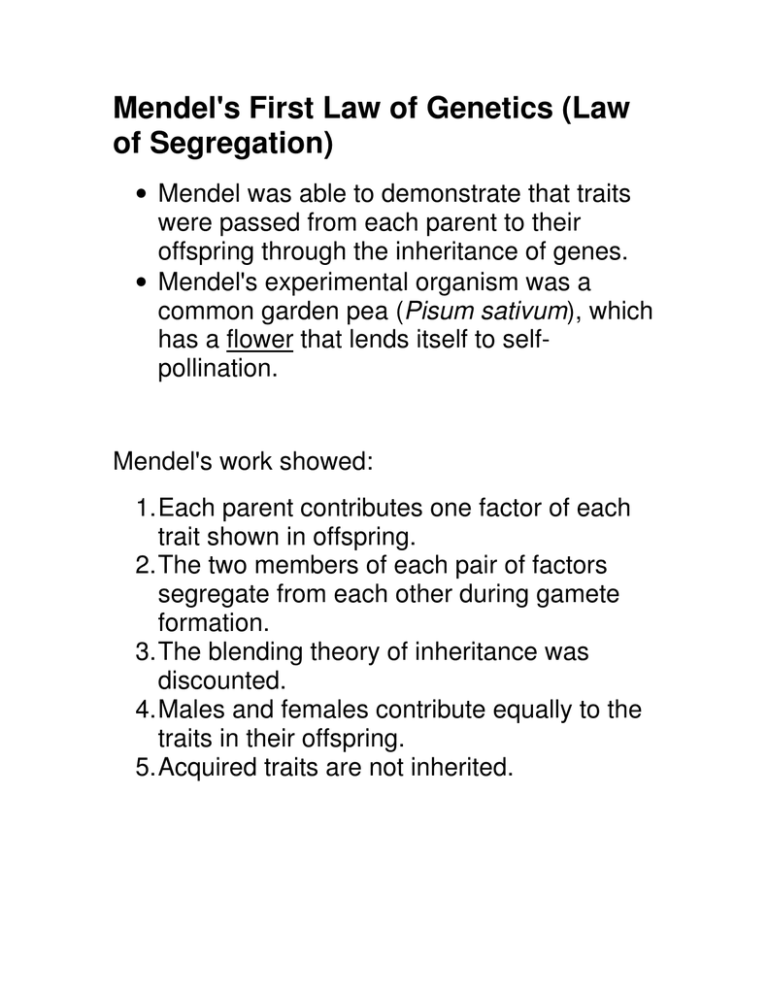 Mendel's First Law of Genetics (Law of Segregation)