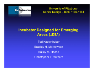 Incubator Designed for Emerging Areas ( ) iDEA